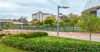 Профессиональное озеленение улиц в Балахне в октябре