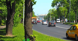 Посадка деревьев и кустарников в Балахне — стоимость от 1254 руб.